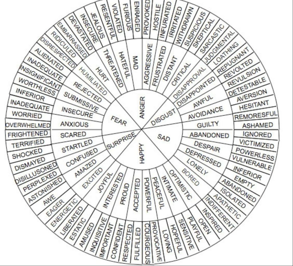 vocabulary wheel